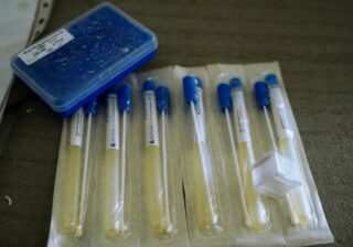 Rusia critica a Estados Unidos por biolabs en Ucrania y exige más que palabras vacías